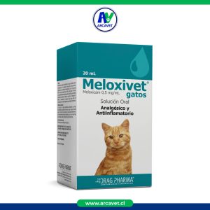 Meloxivet Gatos