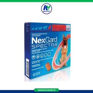 Antiparasitario masticable perro NexGard SPECTRA 30,1 a 60 Kg