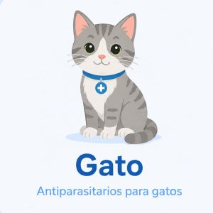 gato