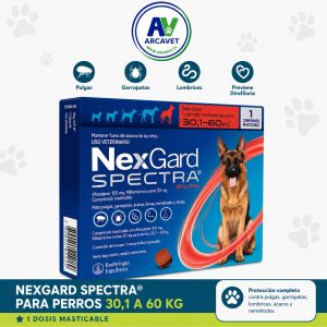 Antiparasitario masticable perro NexGard SPECTRA 30,1 a 60 Kg